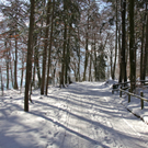 KOE_Wildpark Winter2010 45_jpg-1292511481