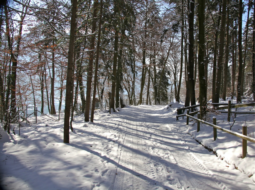 KOE_Wildpark Winter2010 45_jpg-1292511481