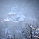 KOE_Wildpark Winter2010 47_jpg-1292511493