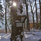 KOE_Wildpark Winter2010 49_jpg-1292511509