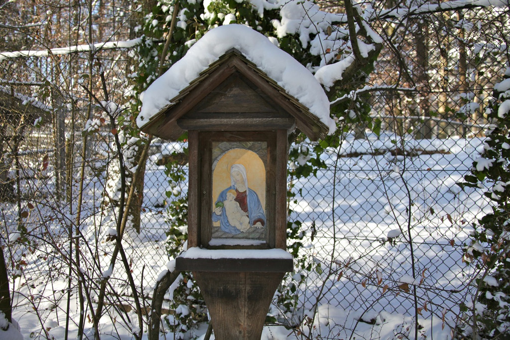 KOE_Wildpark Winter2010 50_jpg-1292511521
