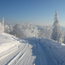 normal_16122010traumlandschaftwm2aktivnews_38.jpg