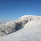 normal_16122010traumlandschaftwm2aktivnews_57.jpg