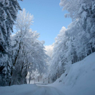 normal_16122010kettengaisbergwm2aktivnews_02.jpg