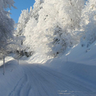 normal_16122010kettengaisbergwm2aktivnews_06.jpg