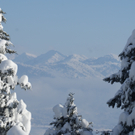 DSC00007_JPG-1292572072