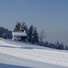 DSC09979_JPG-1292572395