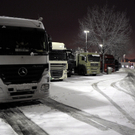 IBD0040-20101217.jpg