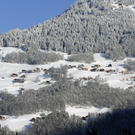 073_bearbeitet-1.jpg