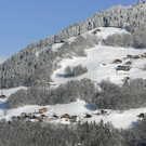074_bearbeitet-1.jpg