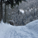 023_bearbeitet-1.jpg