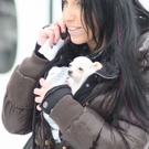 normal_16122010hundegaaktivnews_11.jpg