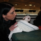 normal_16122010hundegaaktivnews_13.jpg