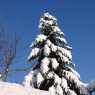 DSC04067.JPG