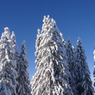 DSC04080.JPG