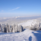DSC04083.JPG