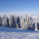 DSC04084.JPG