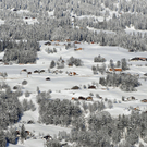 070_bearbeitet-1.jpg