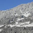 071_bearbeitet-1.jpg