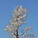 LVA_0589.jpg