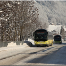 Winterzauber auf Baumgarten und Niedere