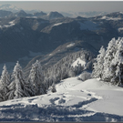 Bild -0710.jpg