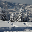 Bild -0711.jpg