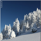 Bild -0715.jpg