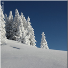 Bild -0732.jpg
