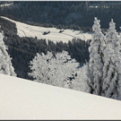 Bild -0738.jpg
