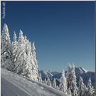 Bild -0739.jpg