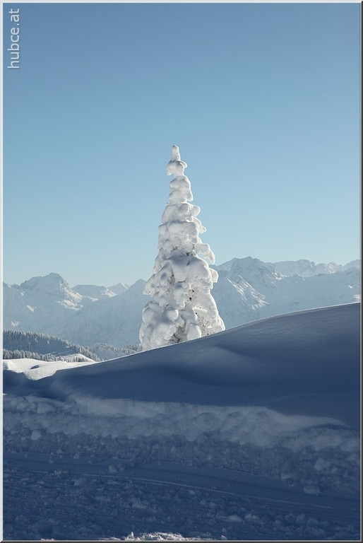 Bild -0755.jpg