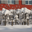 Bild -0182.jpg