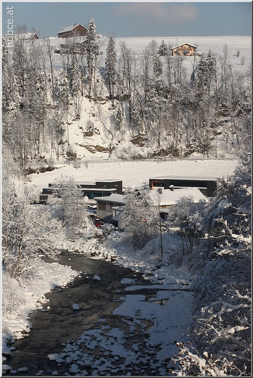 Bild -0369.jpg