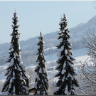 Bild -0375.jpg