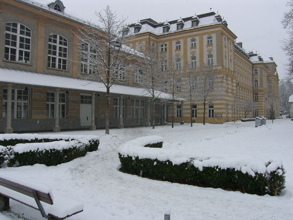 SH107005_JPG-1292658783
