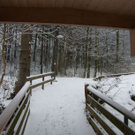 SH107014_JPG-1292658852