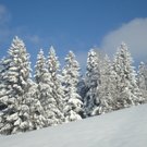 Winter 2010-11 029.JPG