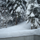 snow snow snow 005.JPG