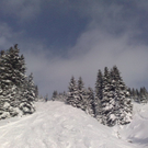 18122010356_jpg-1292691744