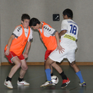 Halle Wolfurt 1   2010 060_jpg-1292696163