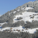 074_bearbeitet-1_jpg-1292776800