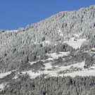 071_bearbeitet-1_jpg-1292776704