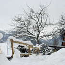 045_bearbeitet-1_jpg-1292778546