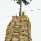 IMG_6062_jpg-1292786589