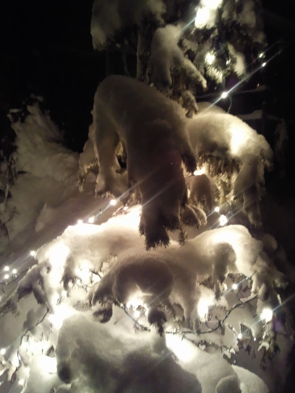 Tannenbaum1.jpg