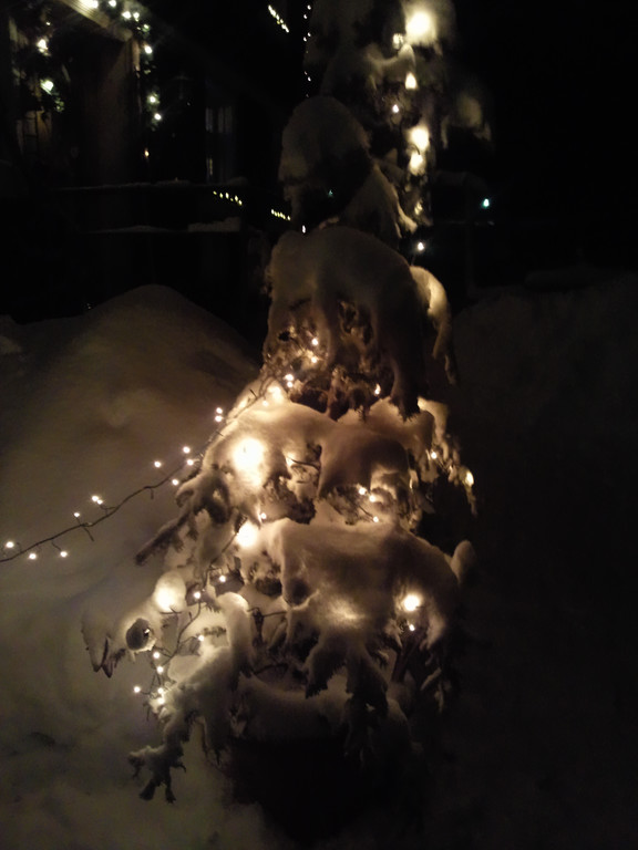 Tannenbaum2.jpg
