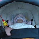 DSCN8192.jpg