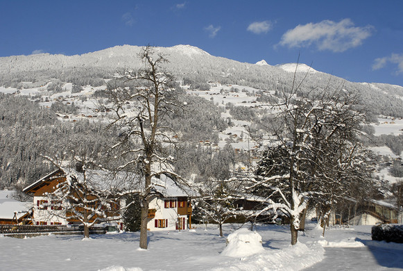 007_bearbeitet-1_jpg-1292798888