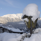 103_bearbeitet-1_jpg-1292799156
